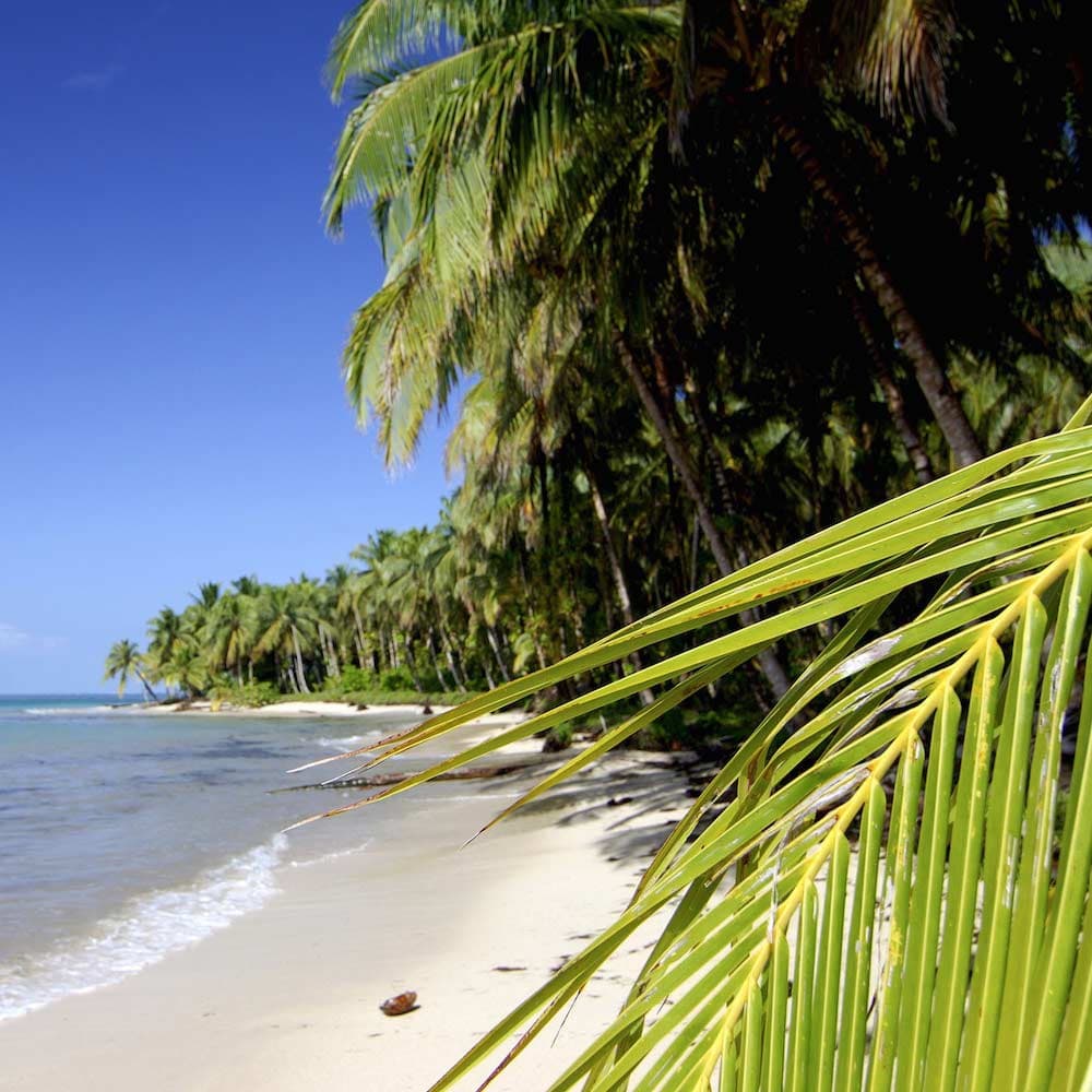 Colón Island — Panama, Central America