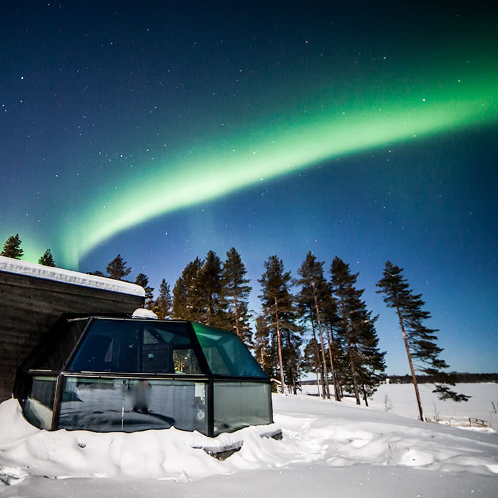 Arctic Fox Igloos — 