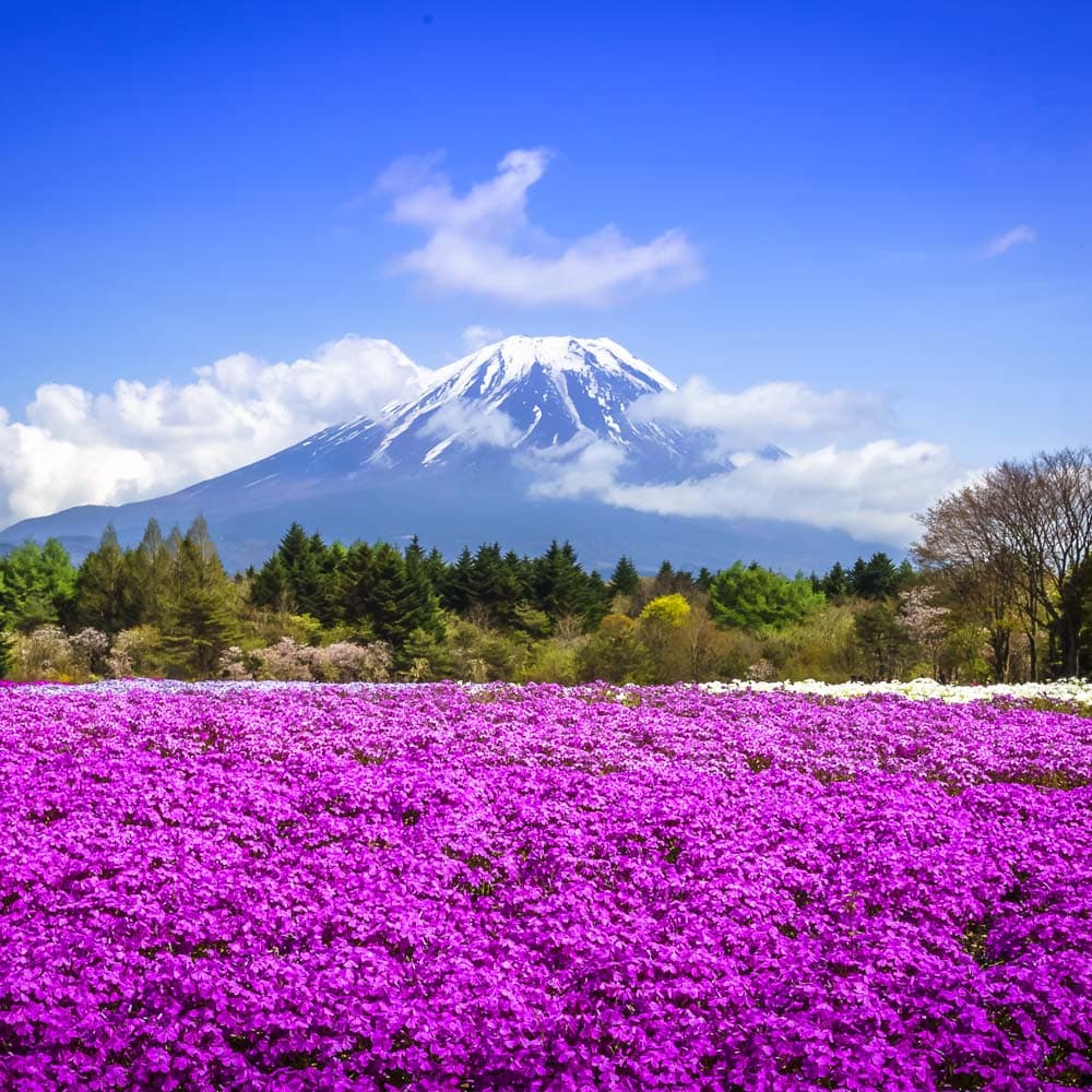 Mount Fuji — Japan, Asia