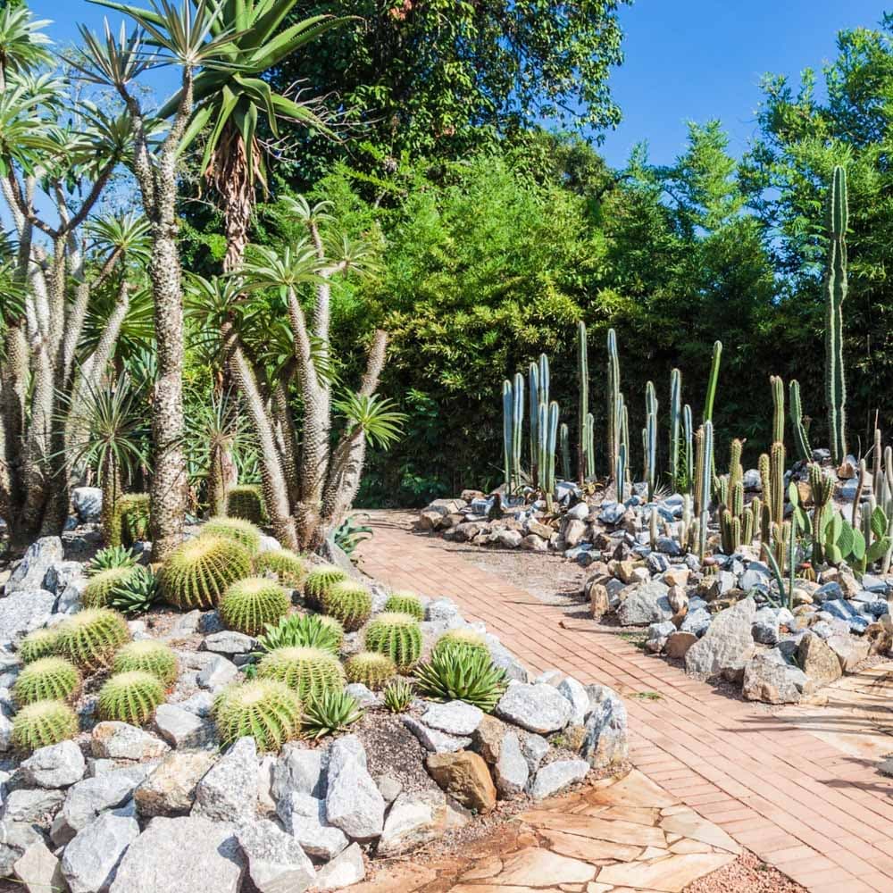 Rio Botanical Garden — Rio de Janeiro, Brazil, South America