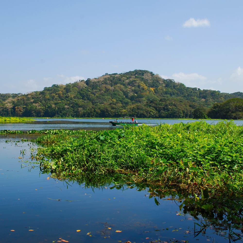Gatun Lake — Panama, Central America