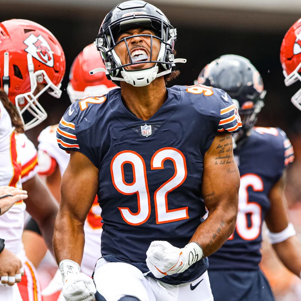 Chicago Bears at Soldier Field — 