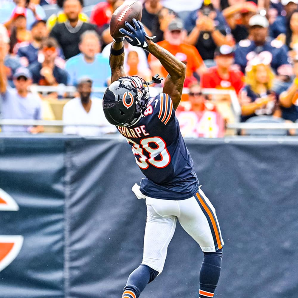 Chicago Bears at Soldier Field — 