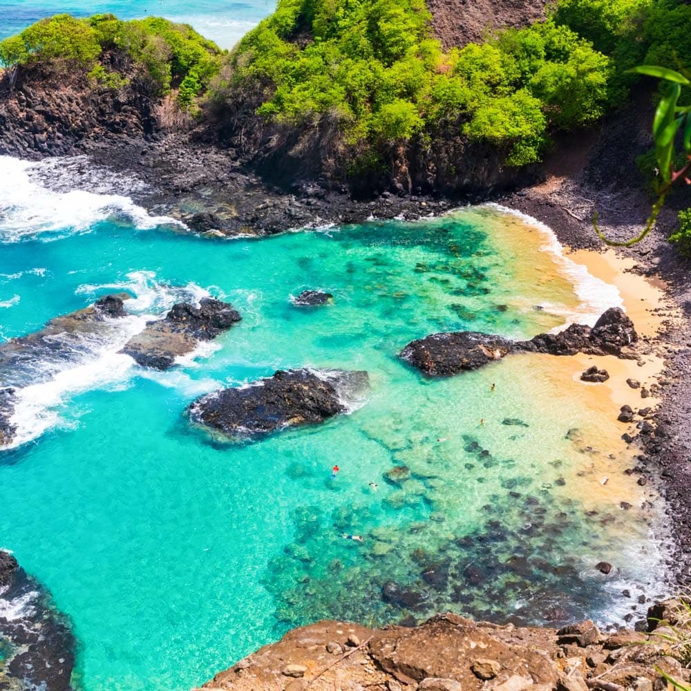 Baia dos Porcos — 