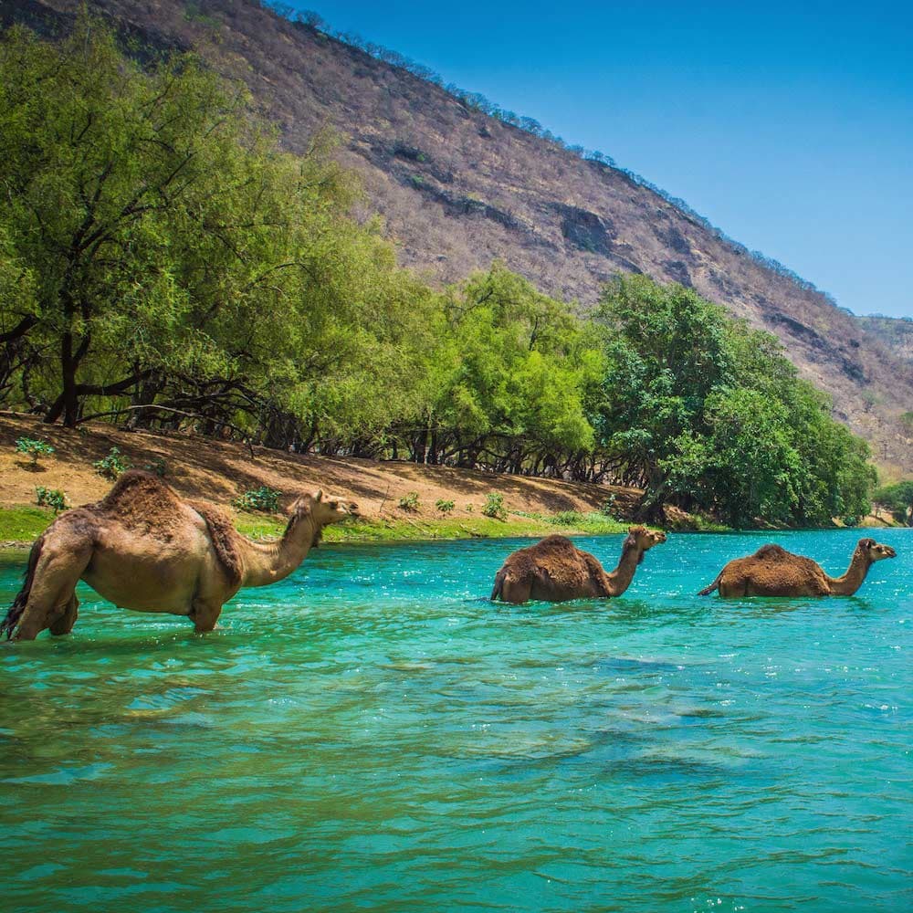 Wadi Darbat — Oman, Middle East