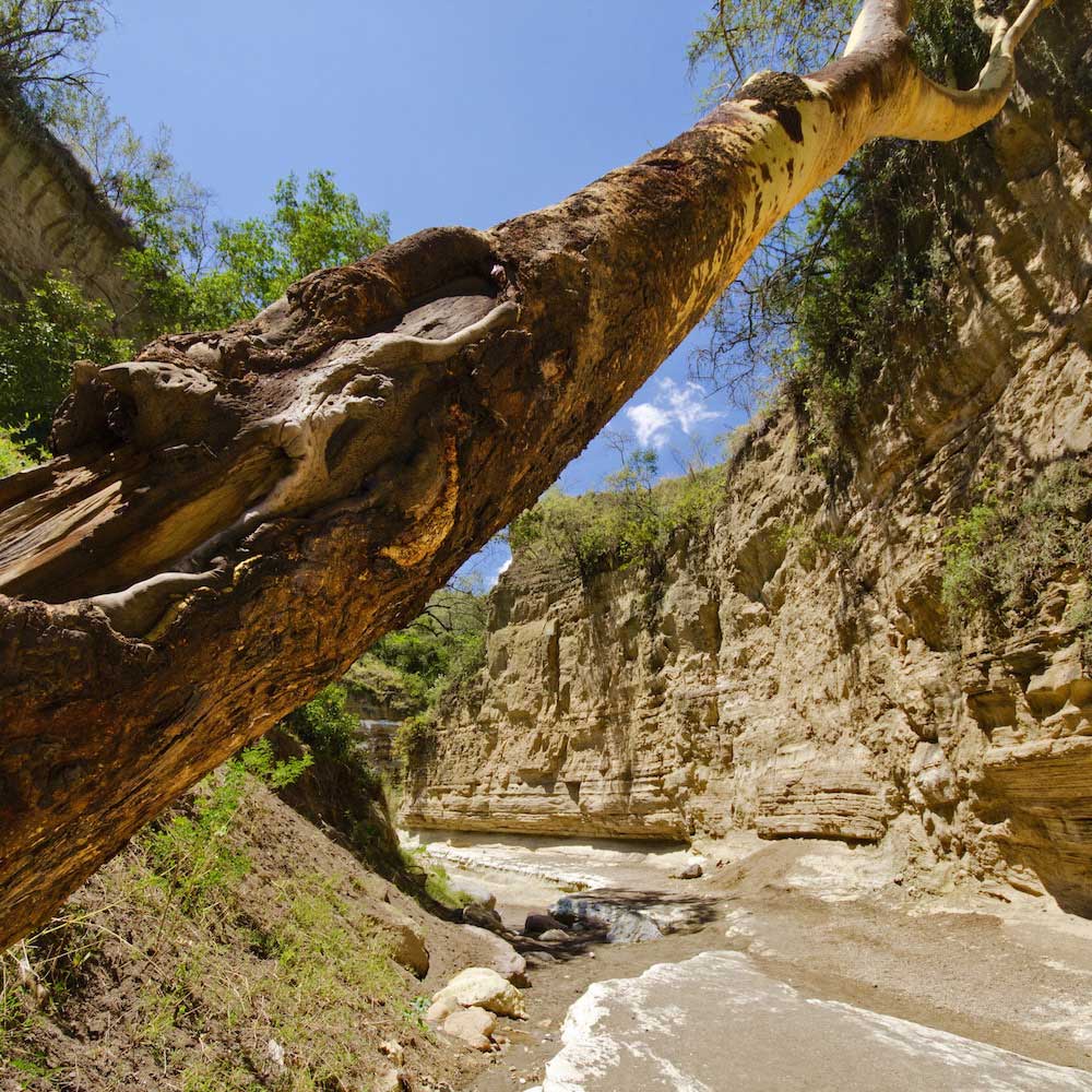 Hell's Gate National Park — Kenya, Africa