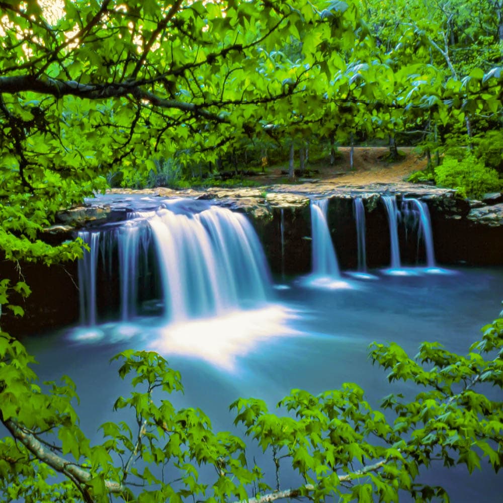 Ozark National Forest — 
