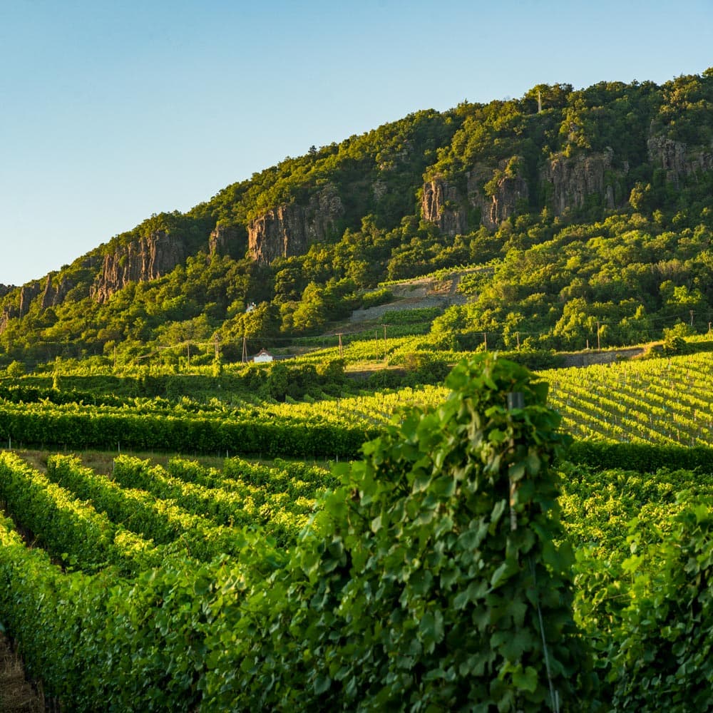 Badacsony — Hungary, Eastern Europe