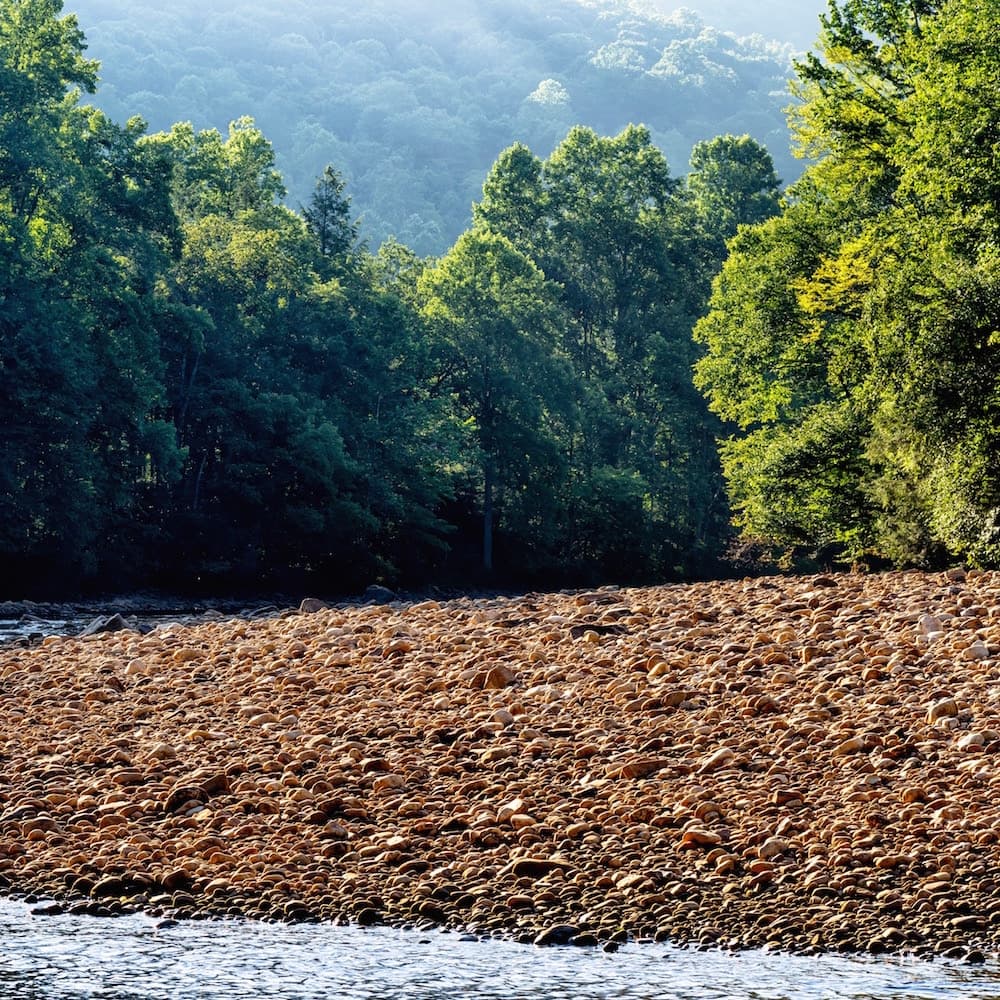 Monongahela National Forest — 