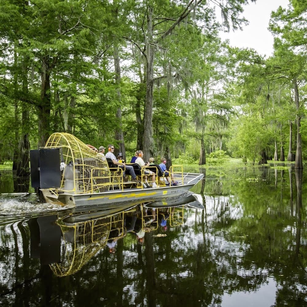 Louisiana Swamp Tours — 