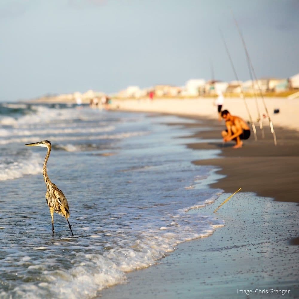 Orange Beach — 