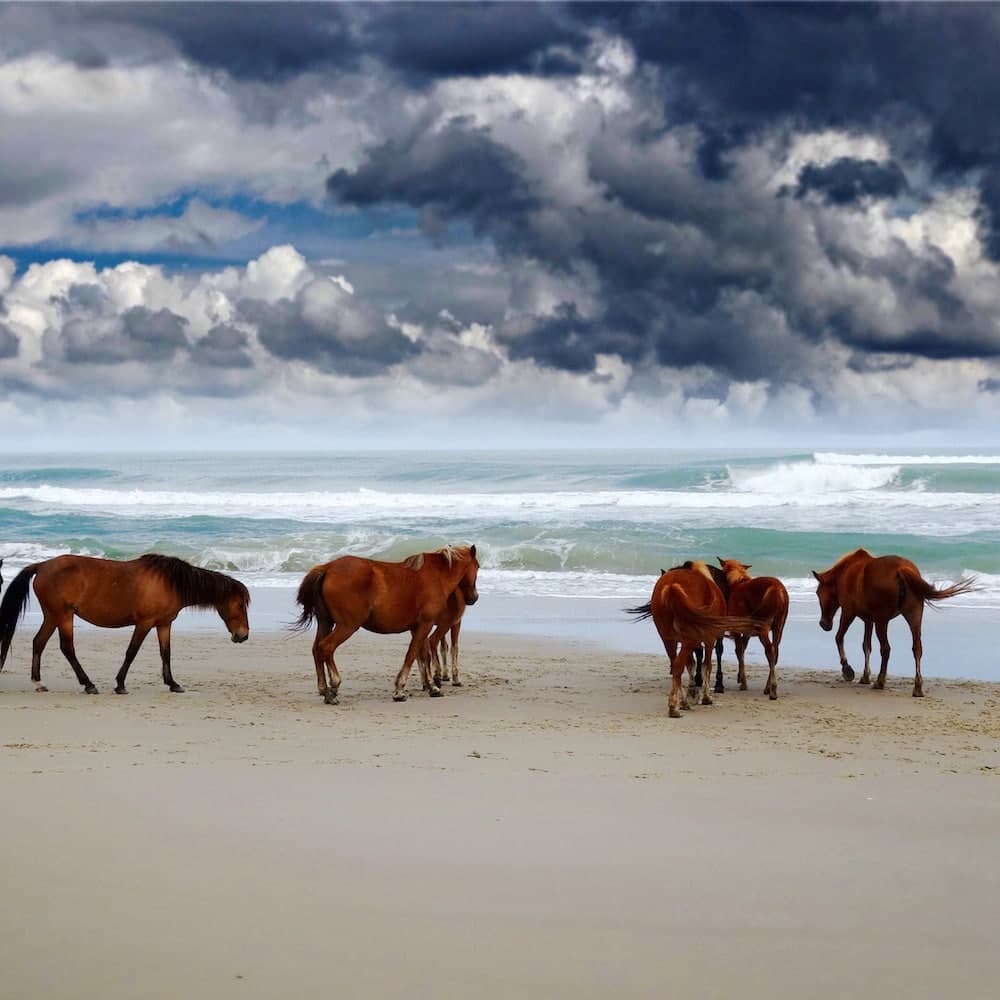 Outer Banks — North Carolina, United States, North America