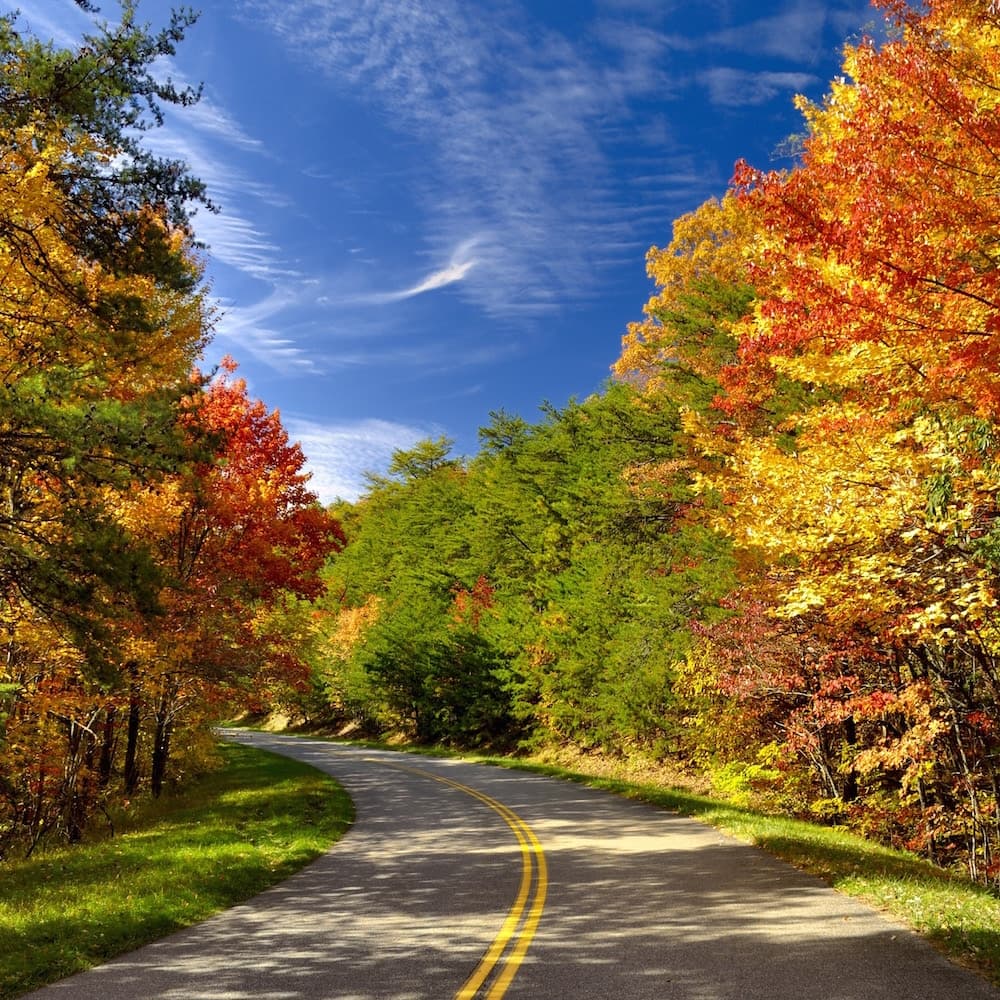 Great Smoky Mountains National Park — 