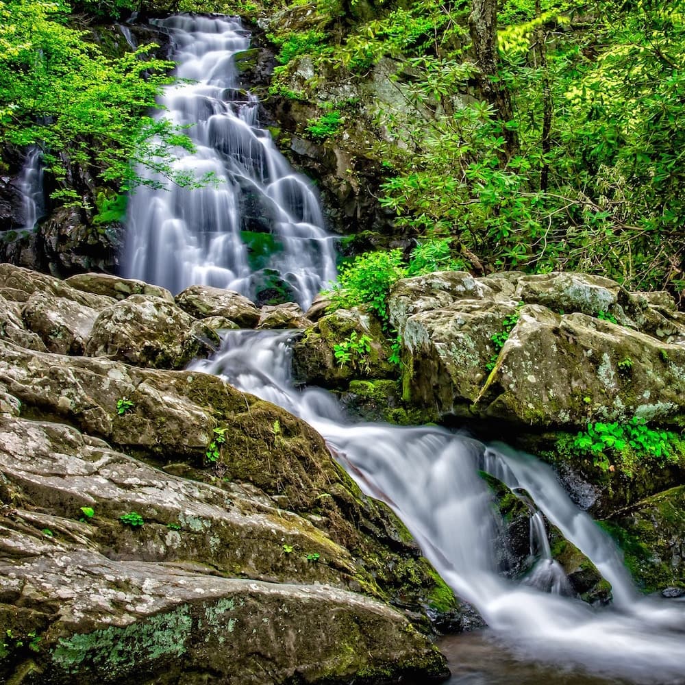 Great Smoky Mountains National Park — 