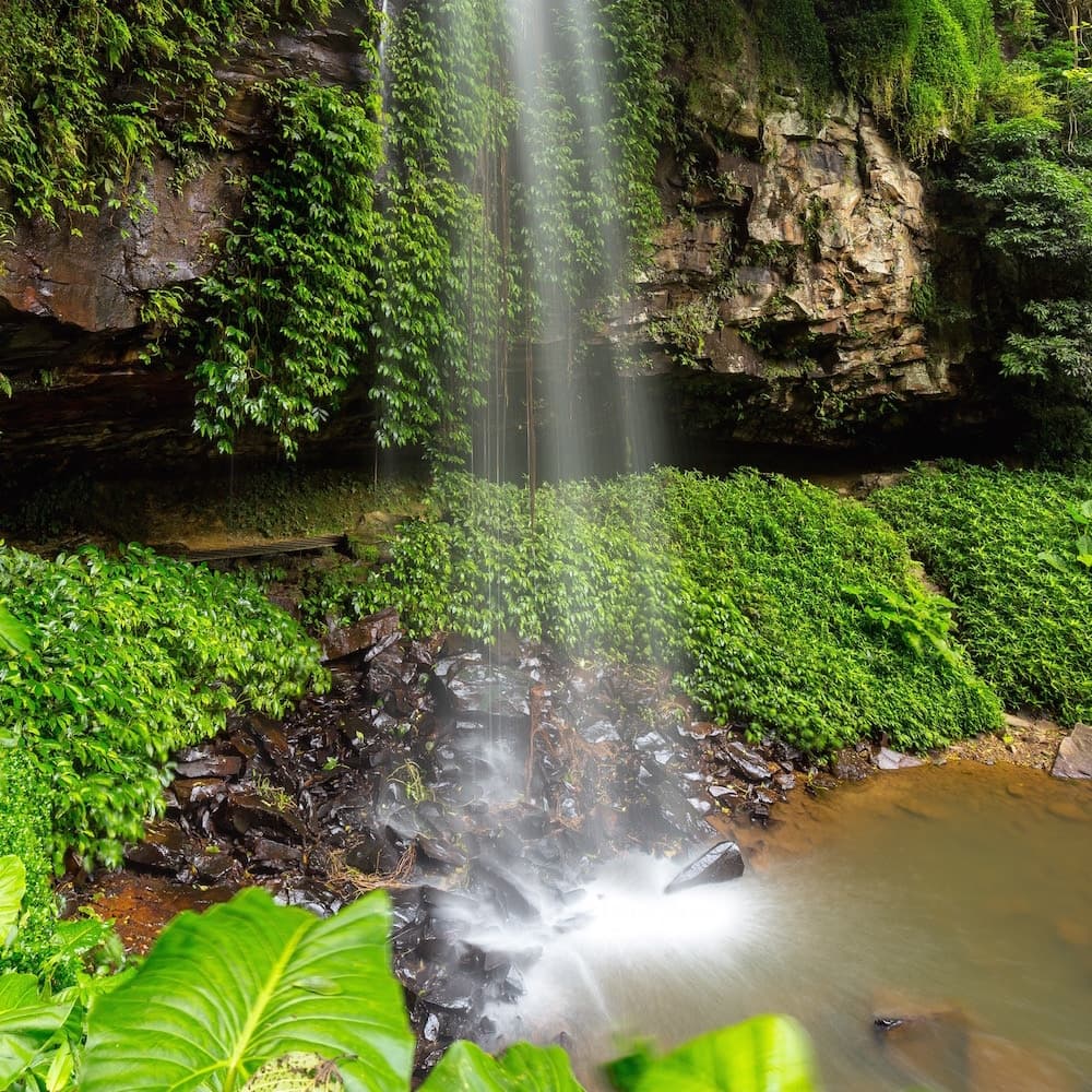 Crystal Shower Falls — Bellingen, New South Wales, Australia, Oceania