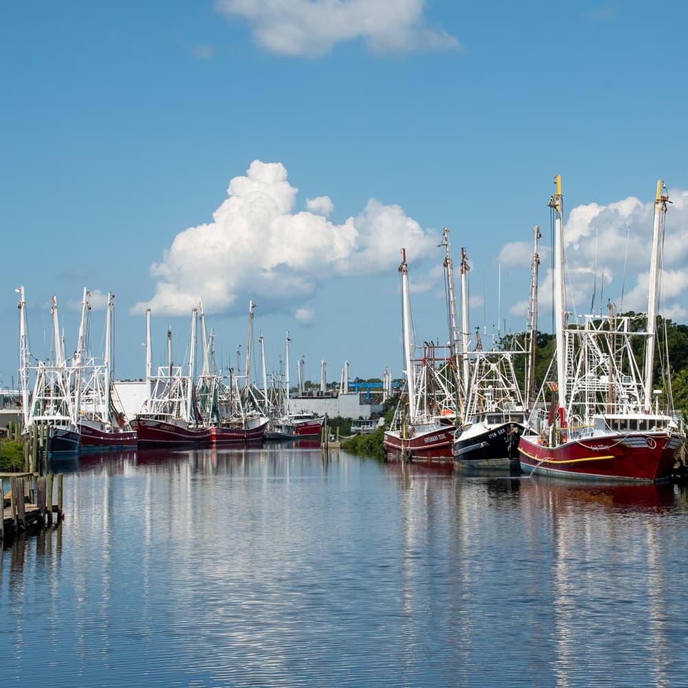 Bayou La Batre — 