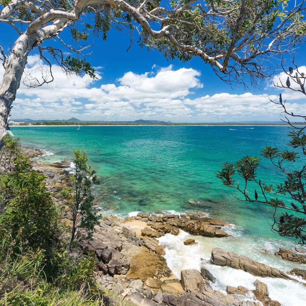 Tea Tree Bay — 