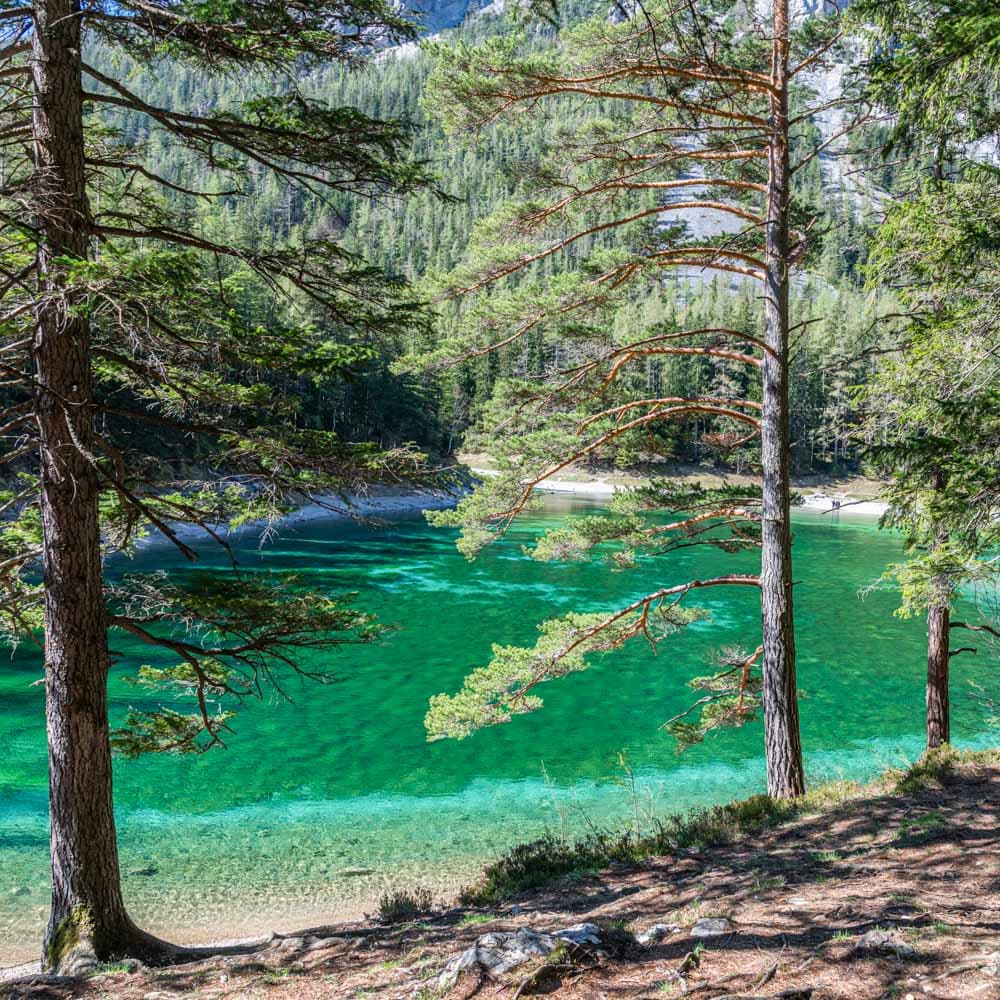 Gruner See — 