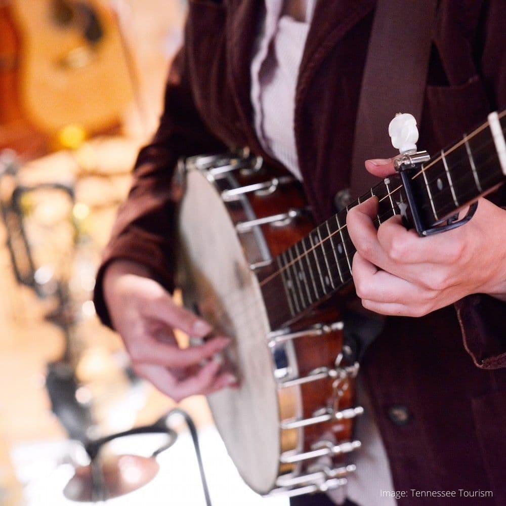 Birthplace of Country Music Museum — 