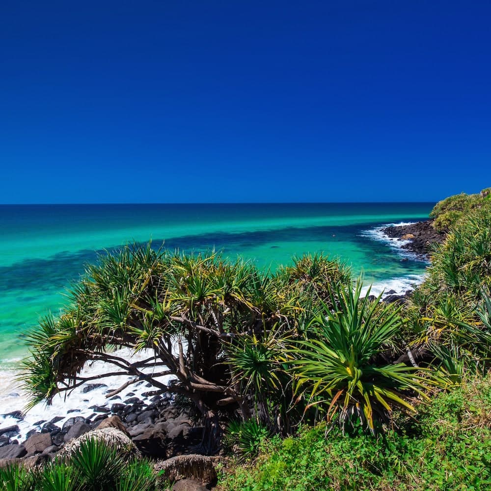 Burleigh Heads National Park — Gold Coast, Queensland, Australia, Oceania