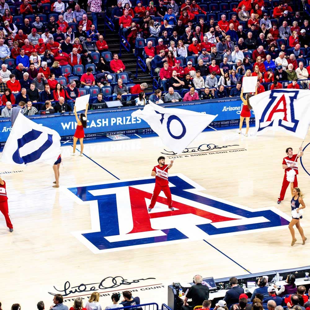 Arizona Wildcats Basketball — 