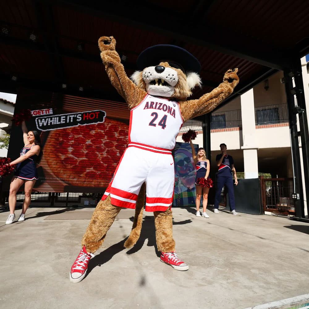 Arizona Wildcats Basketball — 