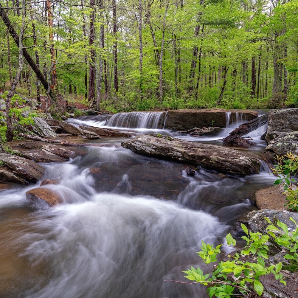 Cheaha Falls — Alabama, United States, North America