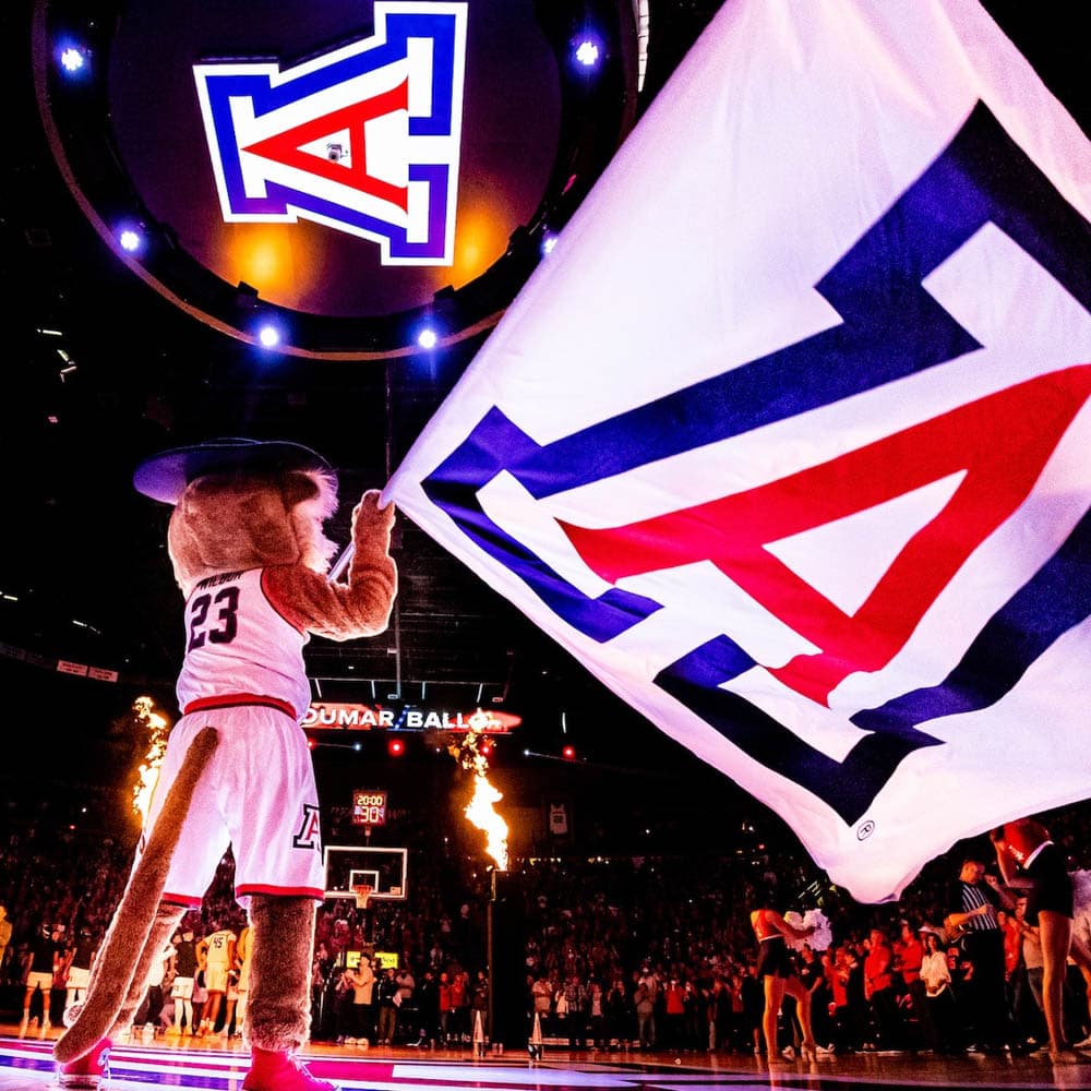 Arizona Wildcats Basketball — 