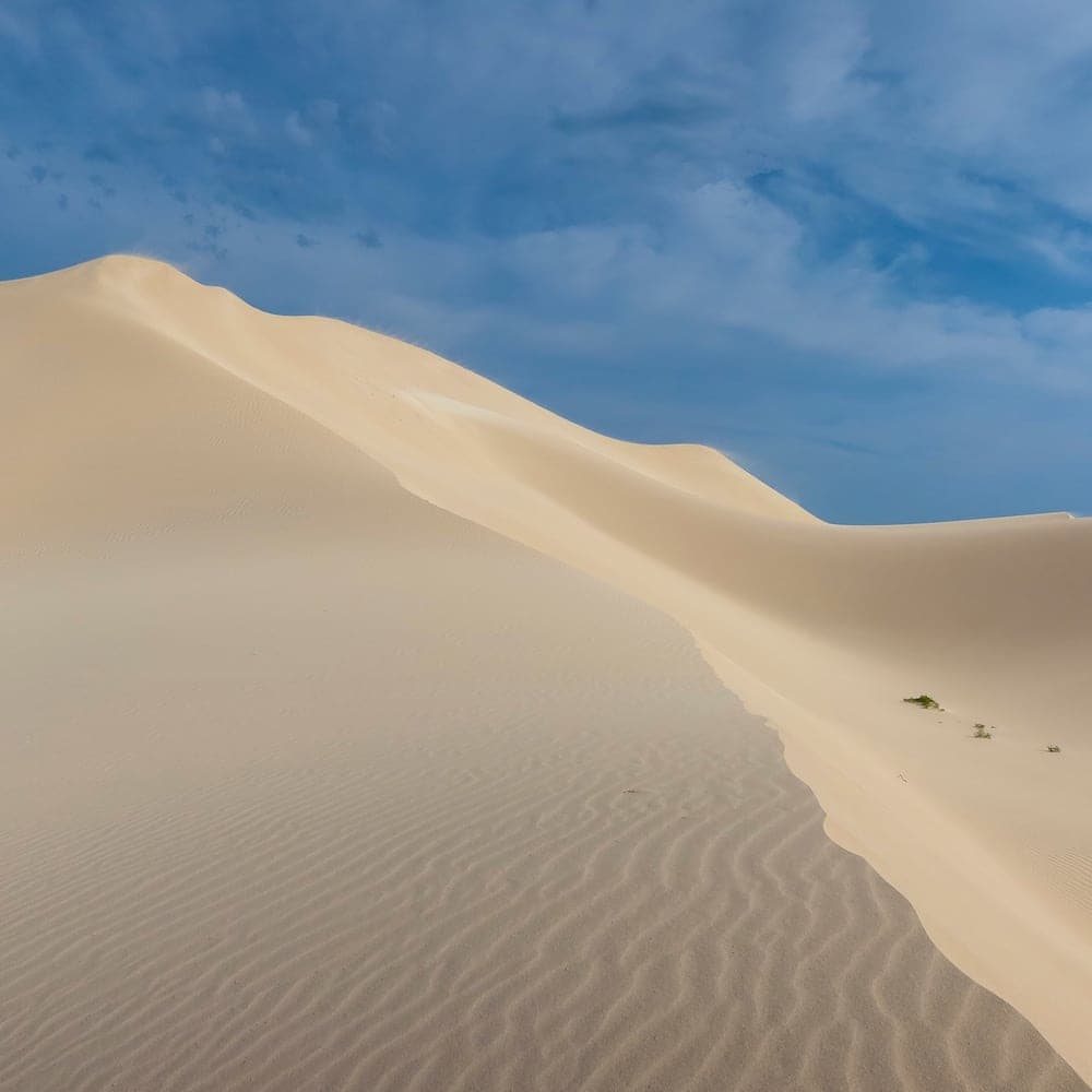 Eucla Sand Dunes — Western Australia, Australia, Oceania