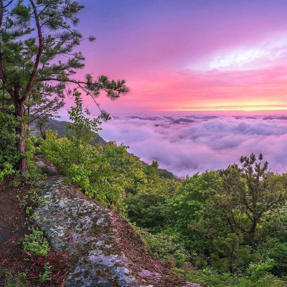 Pine Mountain State Scenic Trail — Kentucky, United States, North America