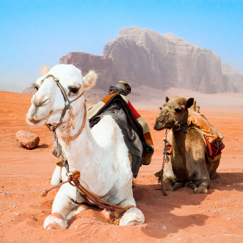 Wadi Rum — 