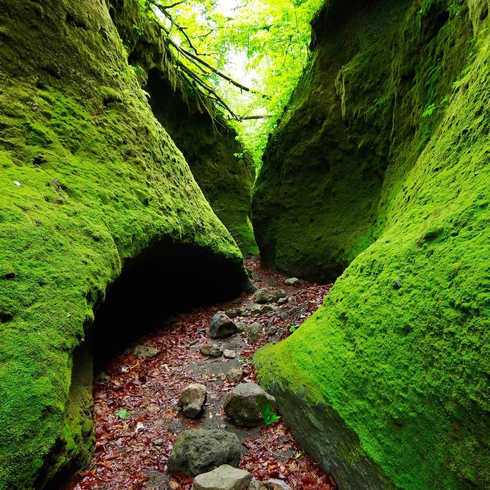 Dismals Canyon — Alabama, United States, North America