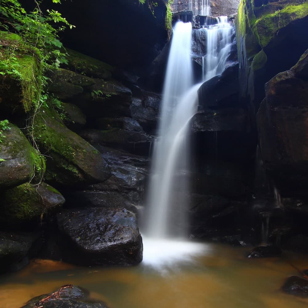 Dismals Canyon — 