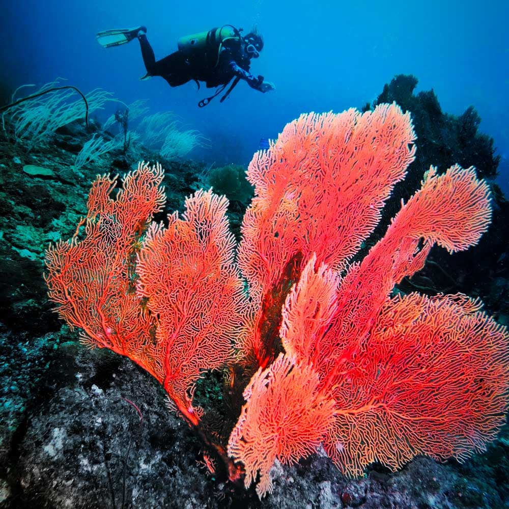 Miri-Sibuti Coral Reefs National Park — Sarawak, Malaysia, Asia