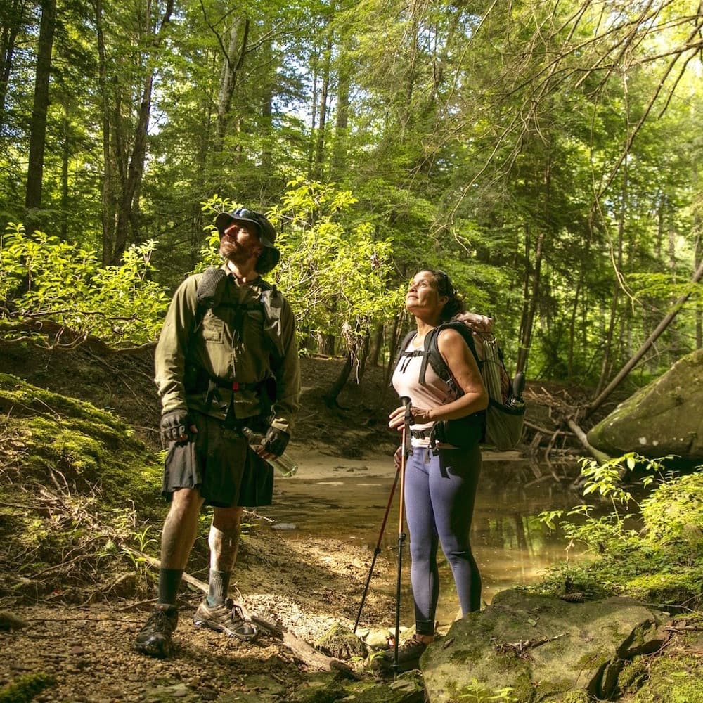 Bankhead National Forest — Alabama, United States, North America