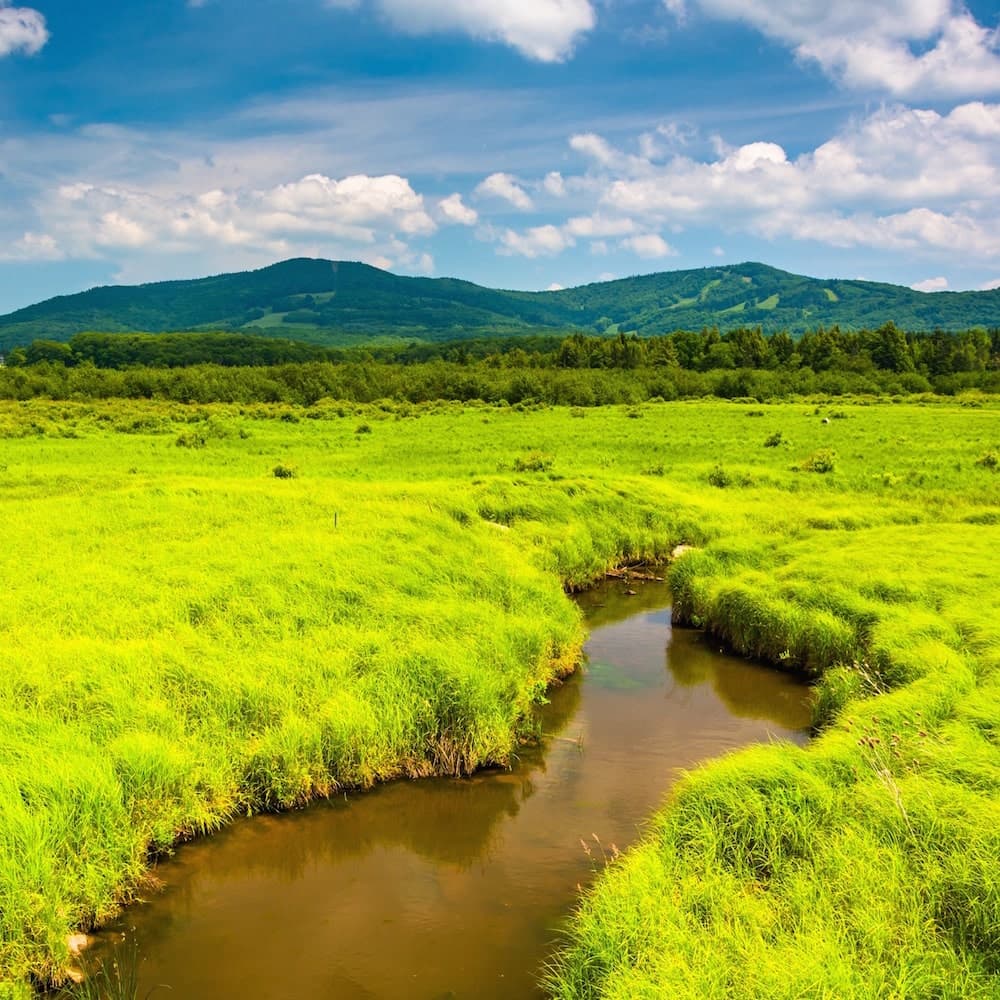 Canaan Valley — 
