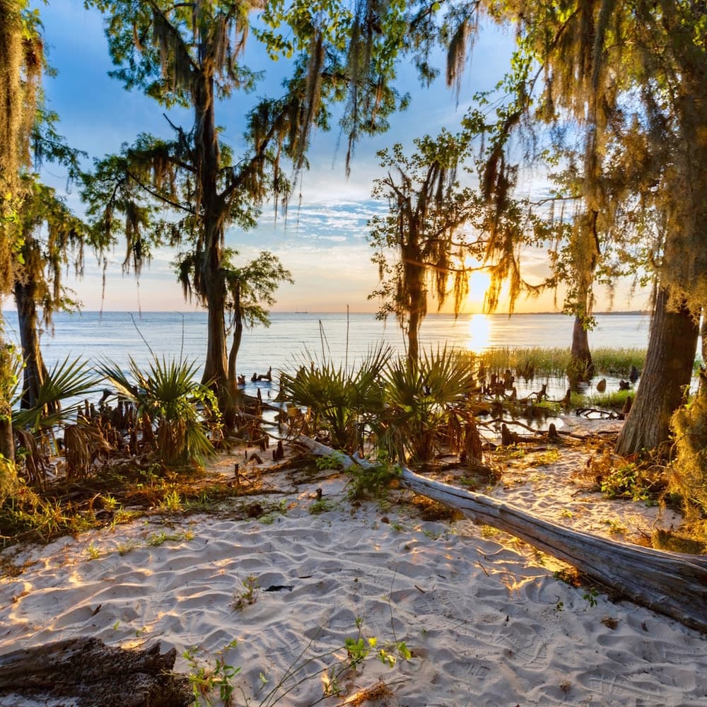 Fontainebleau State Park — 