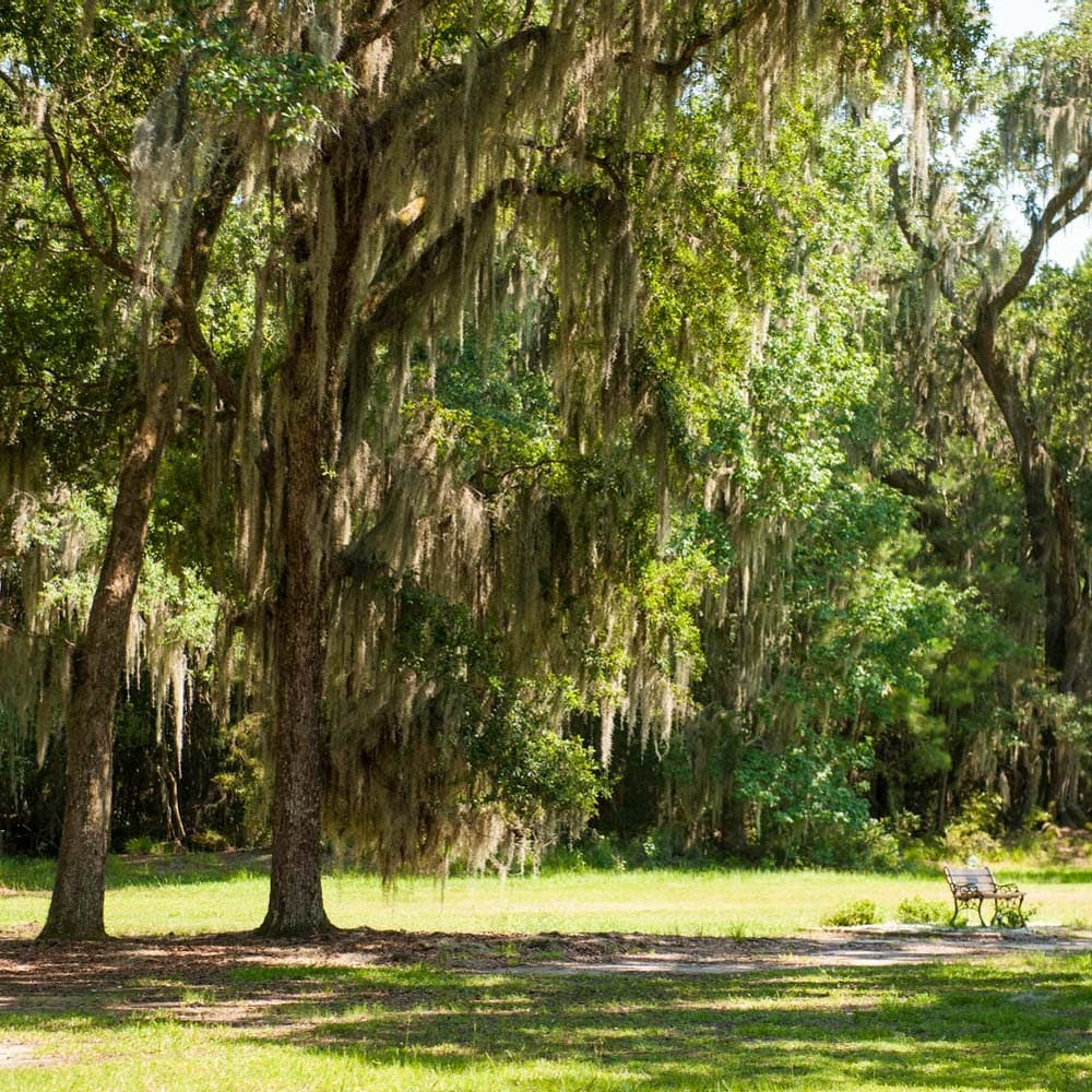 Fontainebleau State Park — 
