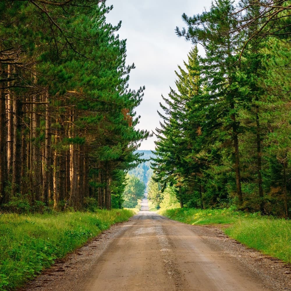 Dolly Sods Wilderness — 