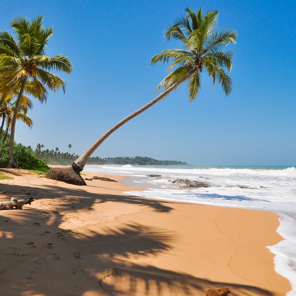 Kosgoda — Sri Lanka, Asia