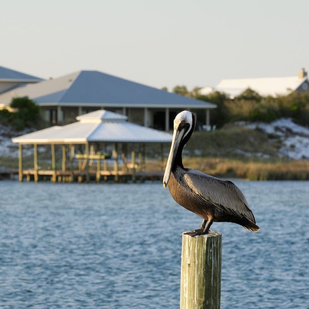 Ono Island — Alabama, United States, North America