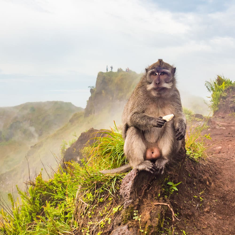 Mount Batur — Ubud, Bali, Indonesia, Asia