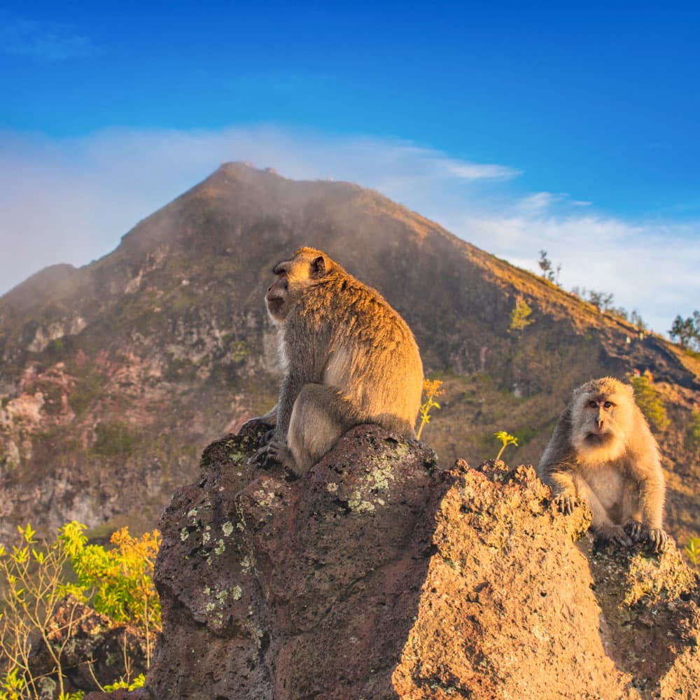 Mount Batur — 