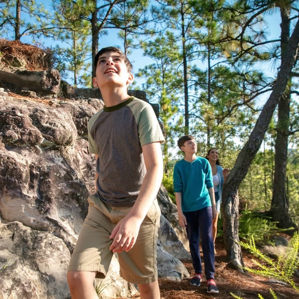 Kisatchie National Forest — 