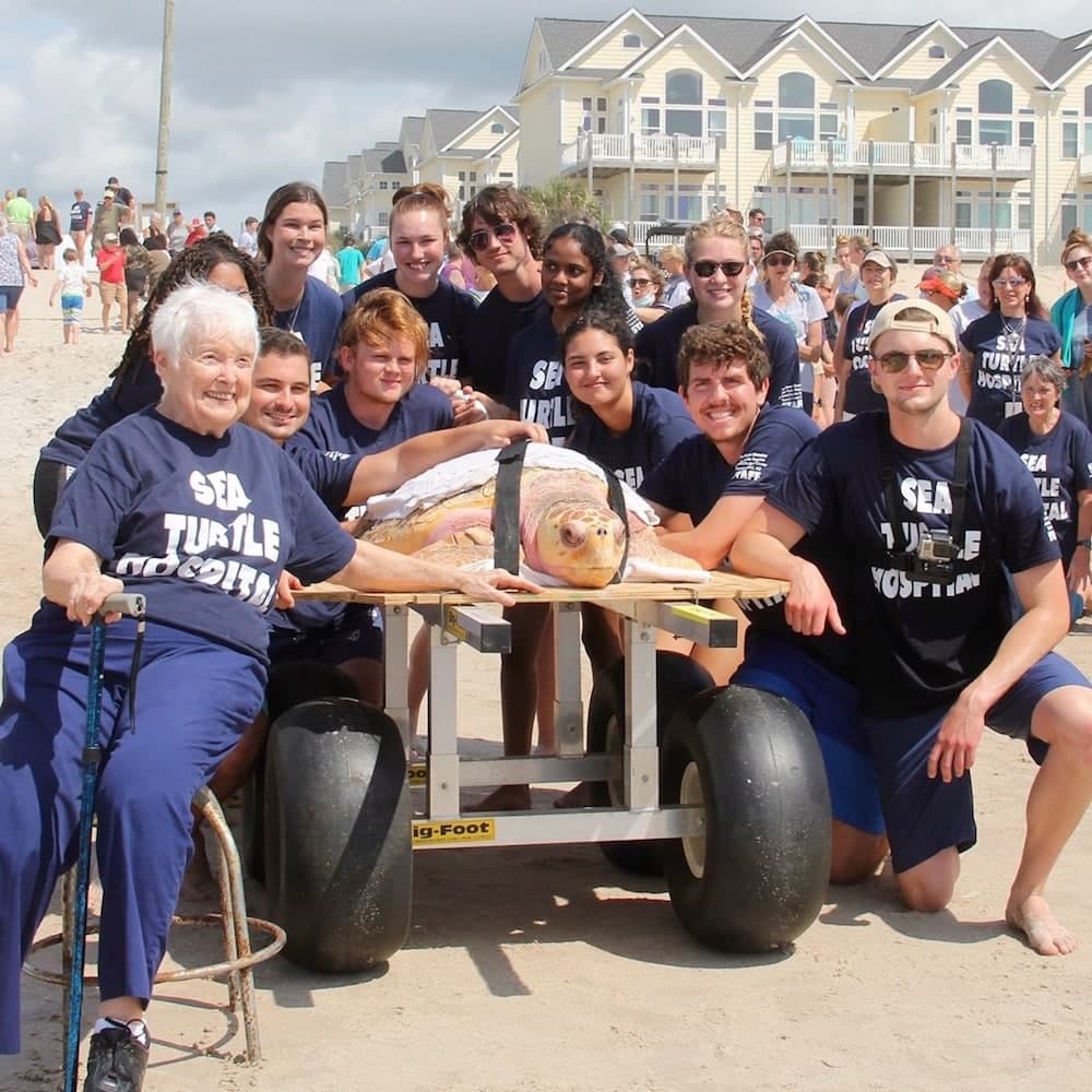 Sea Turtle Rescue Centre — 