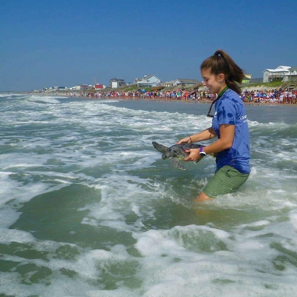 Sea Turtle Rescue Centre — 