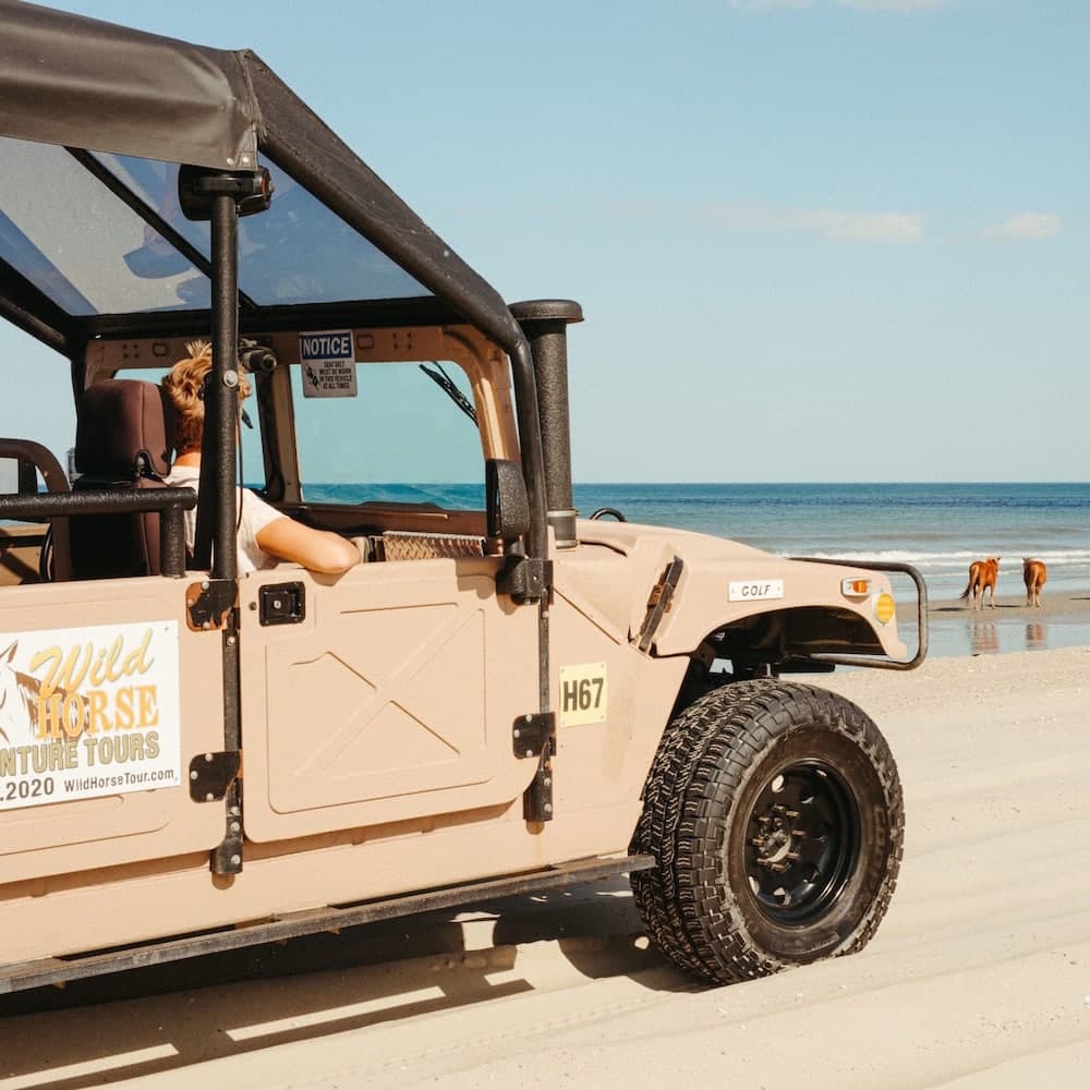Wild Horse Adventure Tours — 