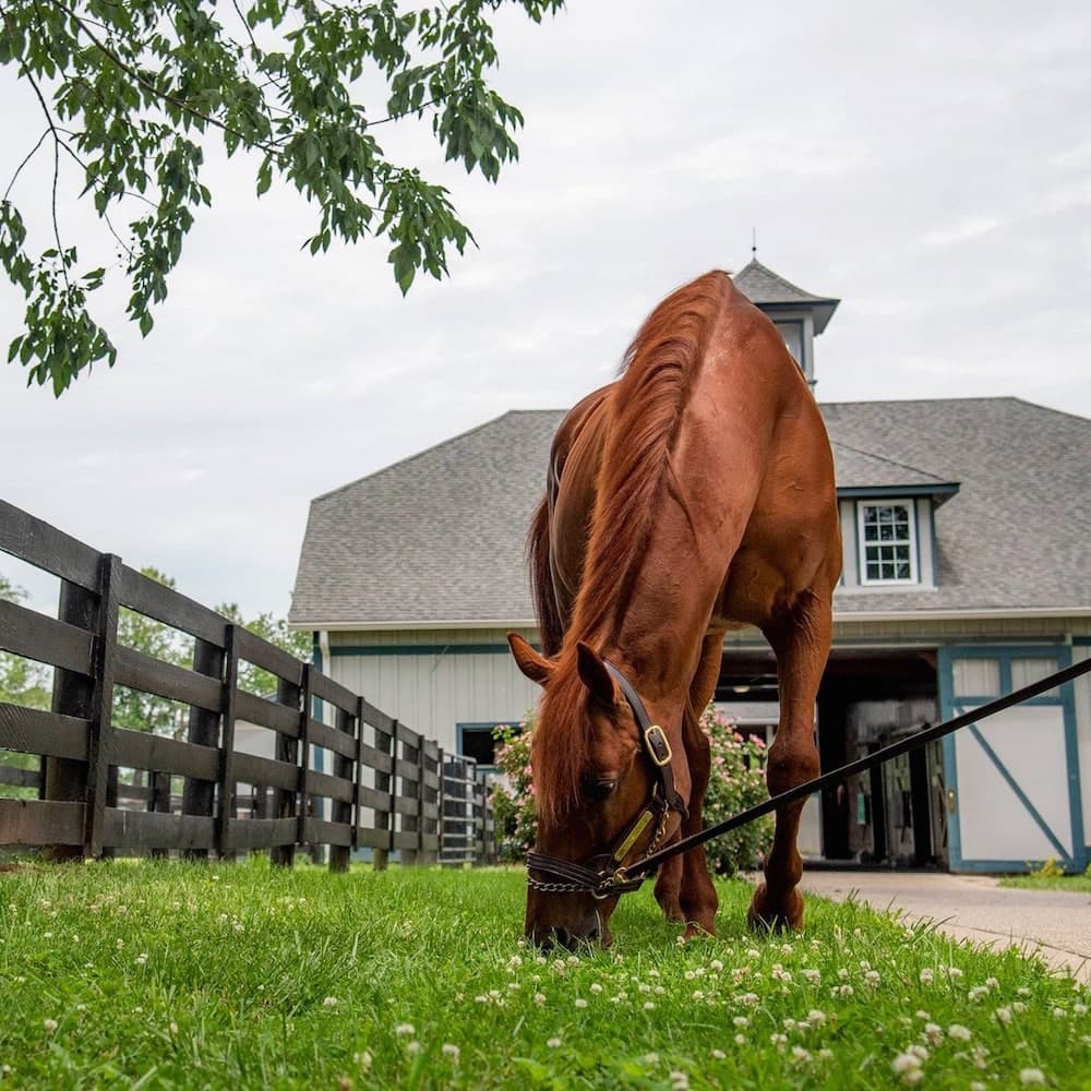 Kentucky Horse Park — Kentucky, United States, North America