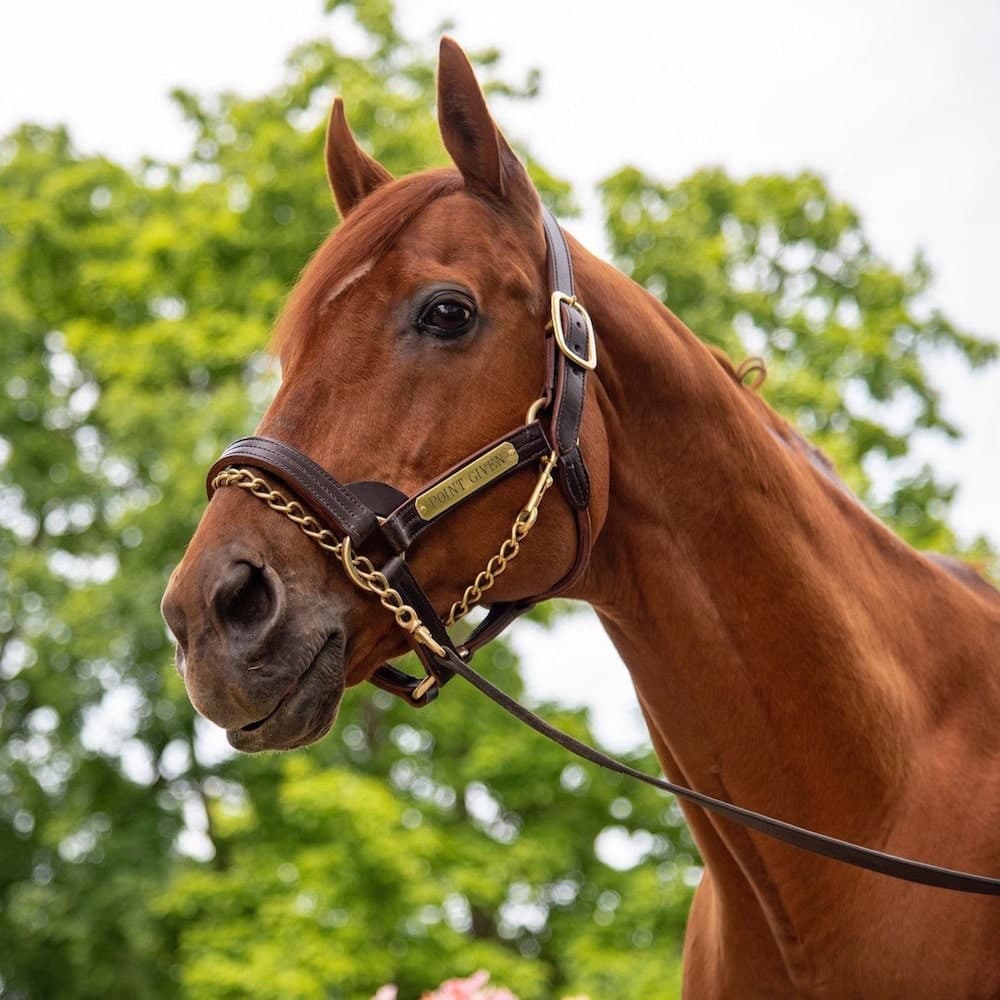 Kentucky Horse Park — 