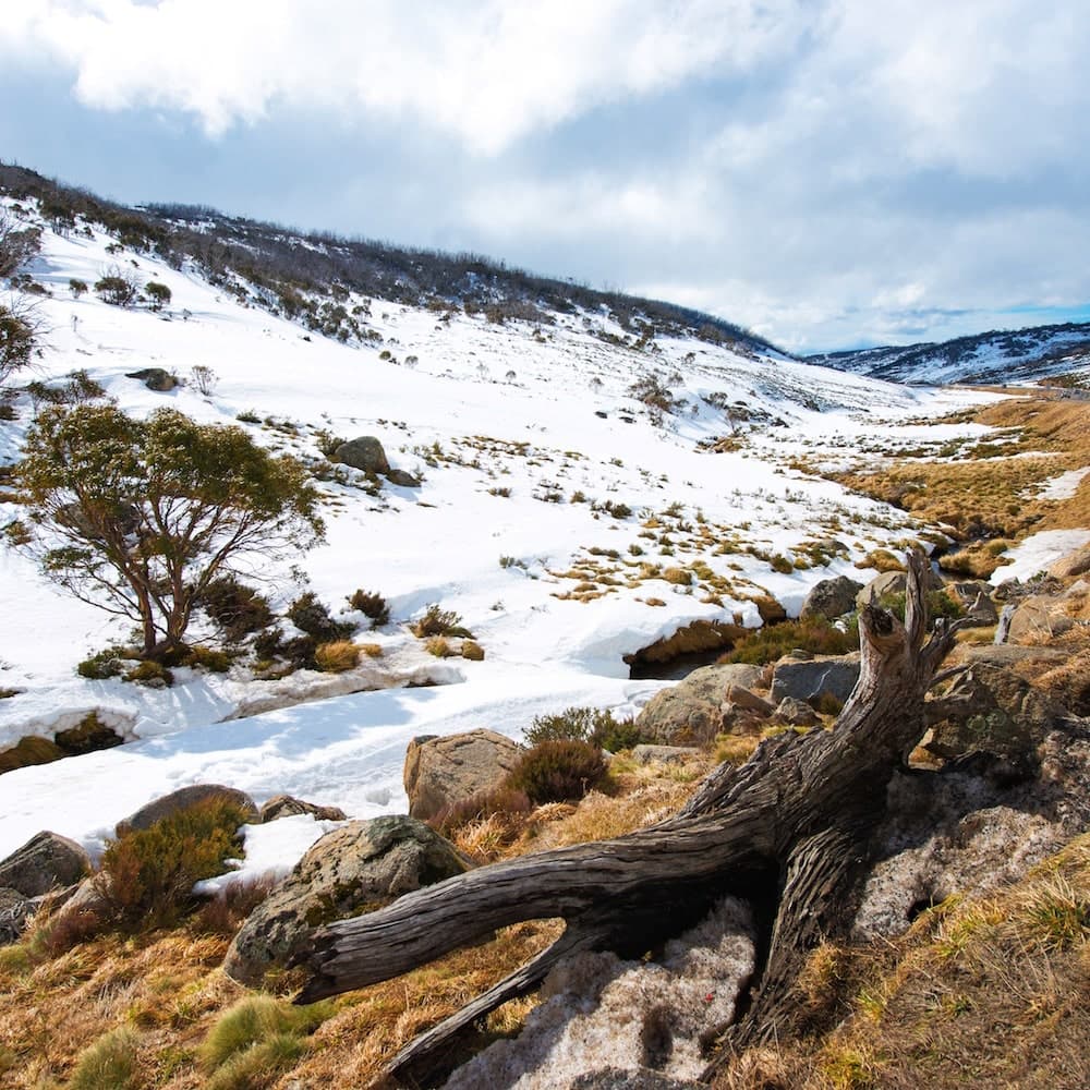 Kosciuszko National Park — New South Wales, Australia, Oceania